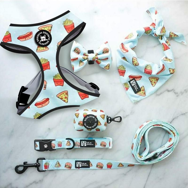 2021 Custom Logo Customized Pattern Pet Products Adjustable Soft Mesh Padded Reversible Dog Harness Set/Pet Accessories