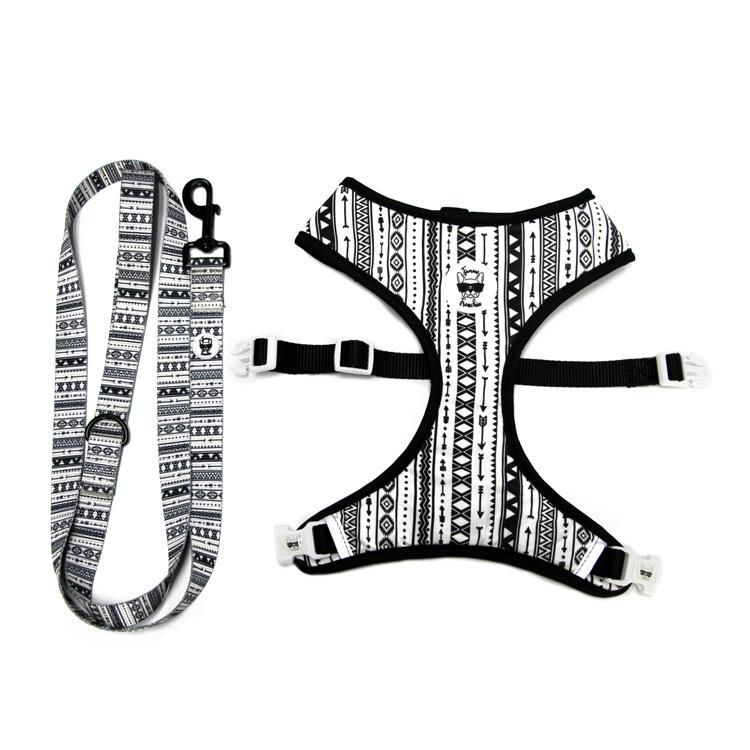 Fashion Pet Supplies Wholesale Collars Leashes Ins Hot Sale Cat Collar Leash Breathable Mesh Dog Harness