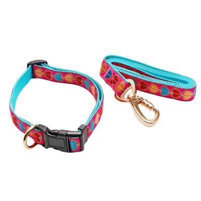 China Manufacturer 2022 Fashion Thick Strong Large Nylon Pet Dog Collars and Leashes Set