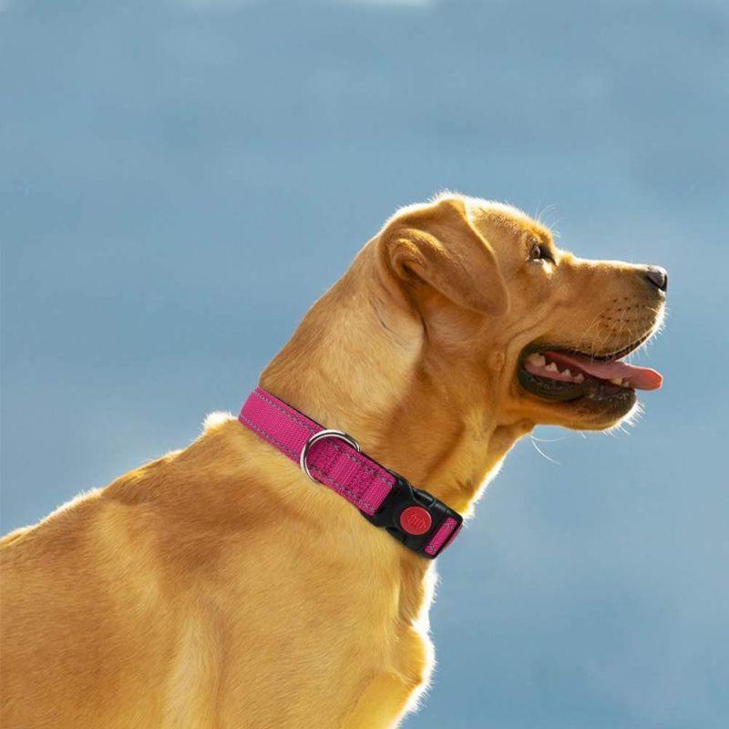 Reflective Dog Collar with Safety Locking Buckle