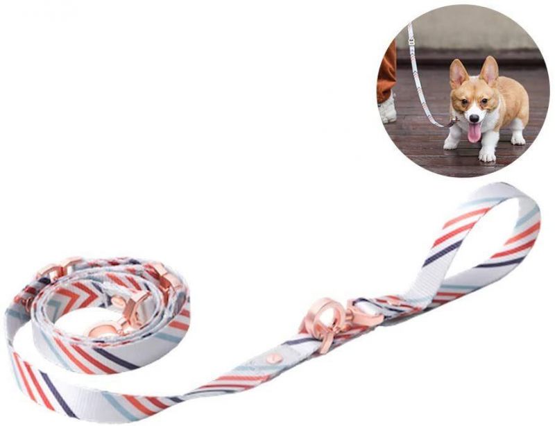 Bracelet Type Dog Leash 57 Inches for Puppy Small Dogs Dog Leash