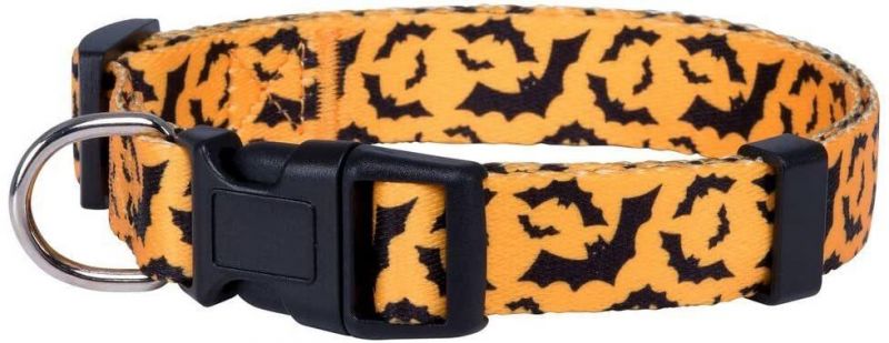 Halloween Dog Collar with Vibrant Colors