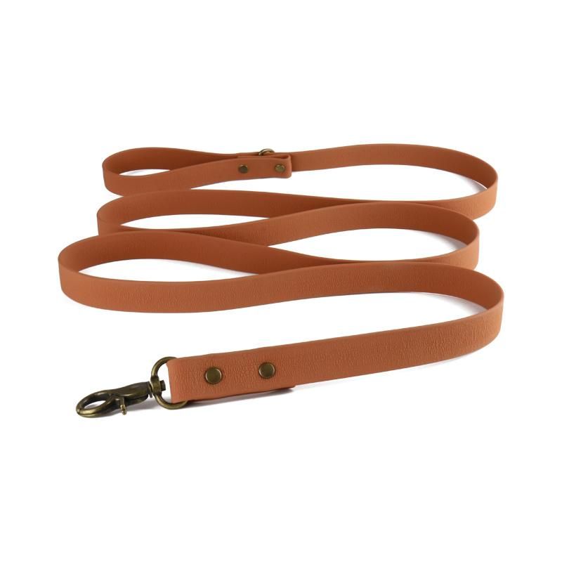 Pet Products Supply Dog Collars Trending Amazon New Custom Metal Buckle PVC Coated Webbing Dog Collar Leash Set