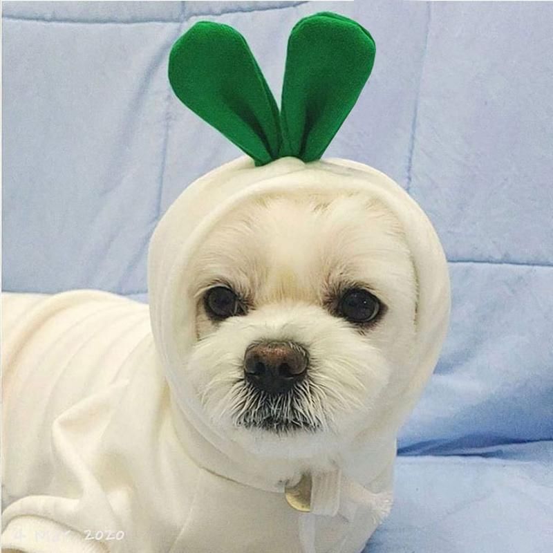 Small Cat Costume Pet Accessories Dog Hoodies Fruit Clothes