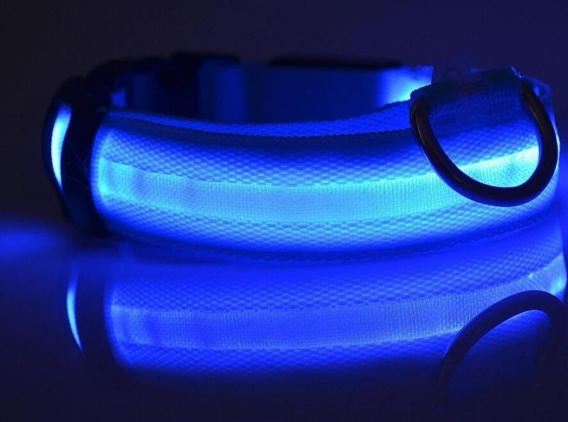 USB Charging LED Dog Collar Anti-Lost Dog Collars Leads LED Supplies Pet Products