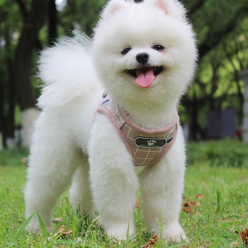 Pet Products Harness Cute and Comfortable Reflective Dog Vest Type Traction Leash Collar Leash Rope Running Walking Safe Night Pet Products Harness