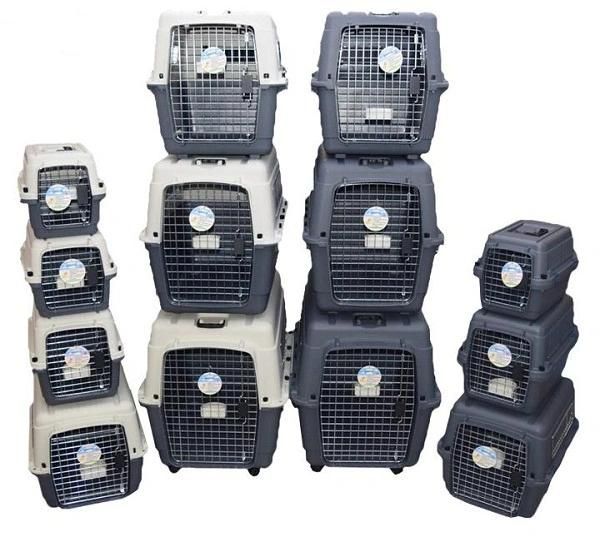Iata Plastic Airline Shipping Approved Dog Transport Box