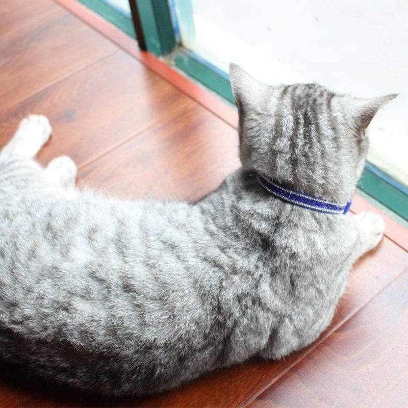Beautiful Bling Rhinestones Cat Collar with Soft Velvet