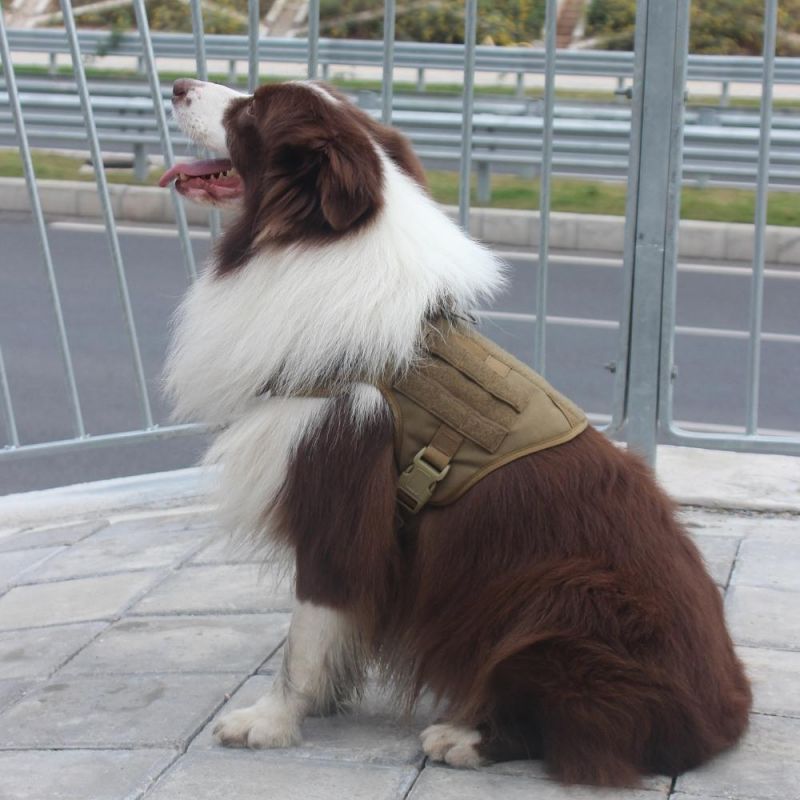 Tactical Dog Harness for Big Dog Outdoor Training Harness Ex-Factory Price, Spot