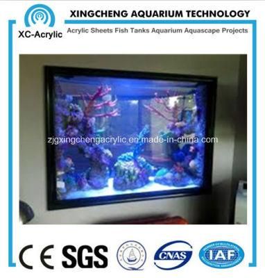 Wall-Mounted Plexiglass Indoor Aquarium