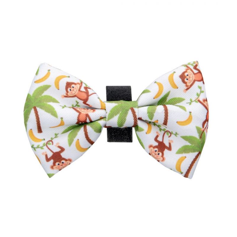 Free Samples Dog Harness Neoprene Pet Harness Customized Designs Dog Collars Dog Leash Pets Accessories