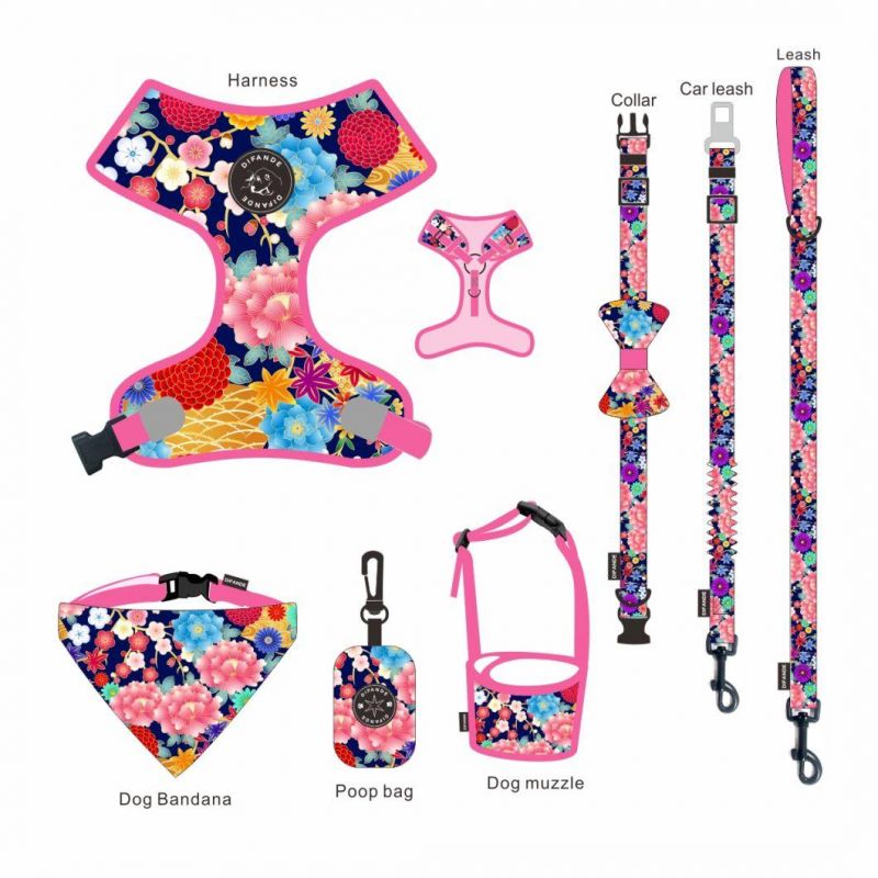 Luxury Accessories for Dogs Cats Nylon Adjustable Buckle Dog Collar and Leash Set