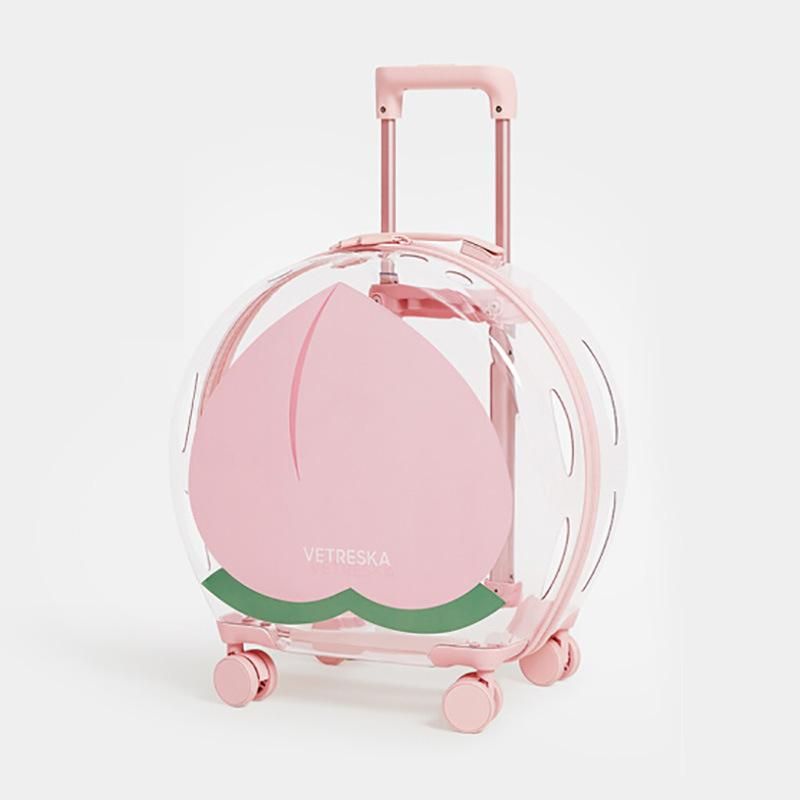 Transport Cat Dog Cage Maintenance Pet Carriers