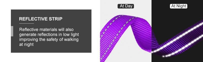 Reflective Nylon Dog Collar with Matching Leash