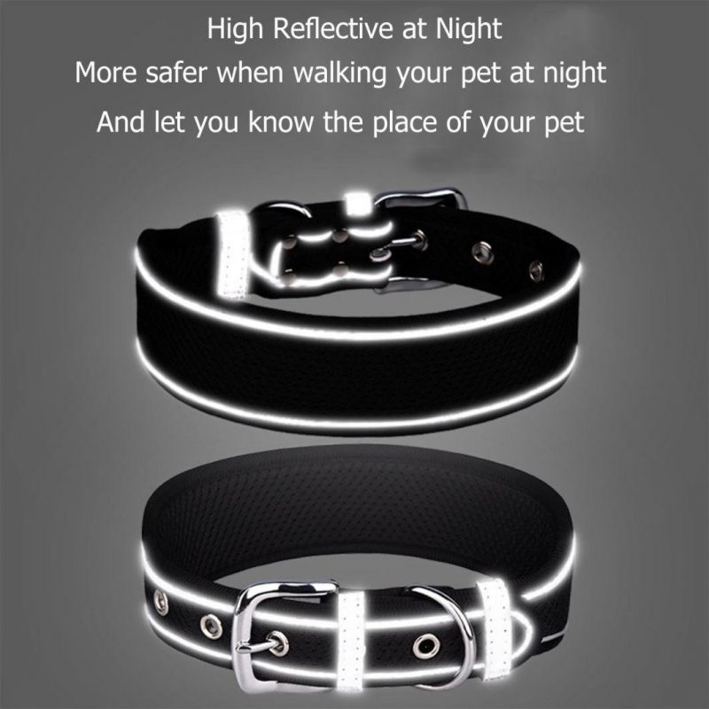 Tensile Resistance Pet Collar for Large Dog