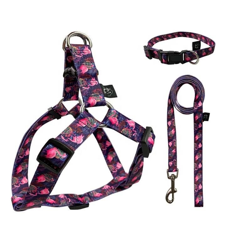 High Quality Comfort 2 in 1 Sublimation Dog Harness with Matching Dog Collar Leash Set