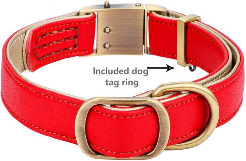 Adjustable Classic Luxury Padded Leather Dog Collar
