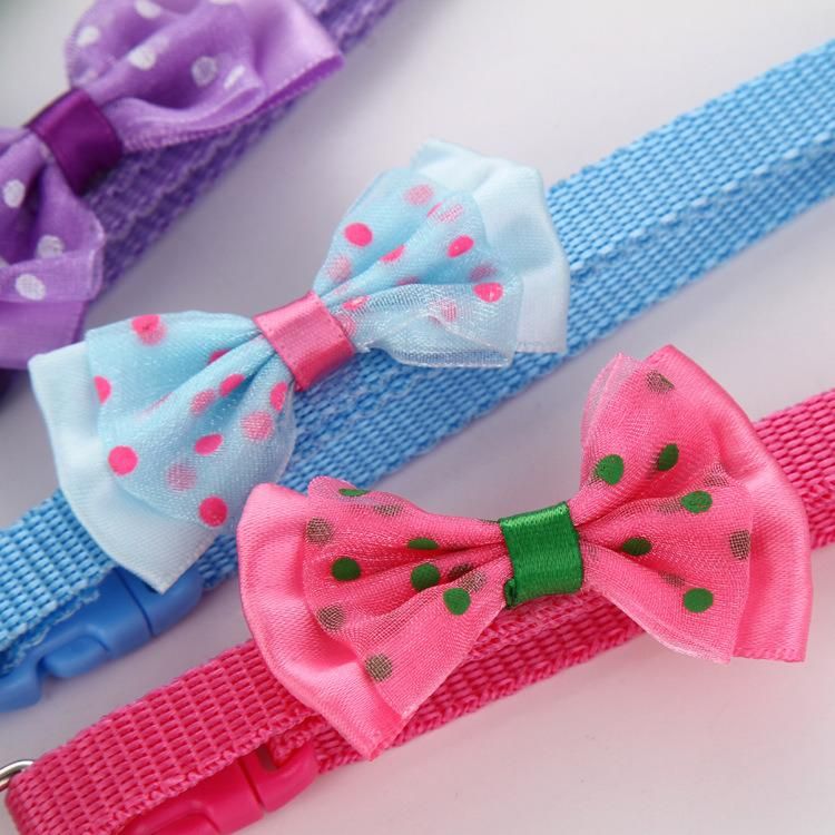 Manufacturer Wholesale Multi-Colors Nylon Cat Dog Collar