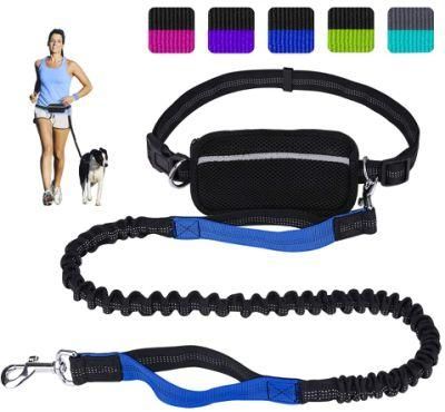 Dual-Handle Reflective Bungee Handsfree Leash