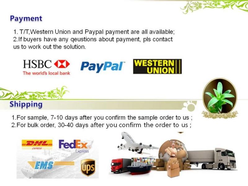 Eco-Friendly Soft Polyester Printing Custom Dog Collar