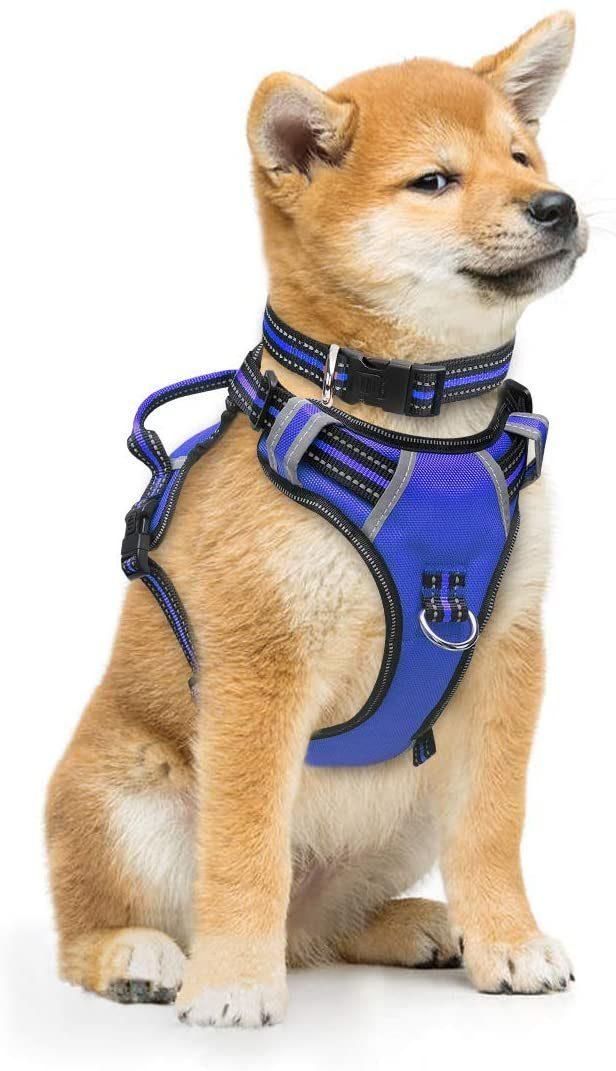 Adjustable Reflective Oxford Outdoor Vest Dog Harness