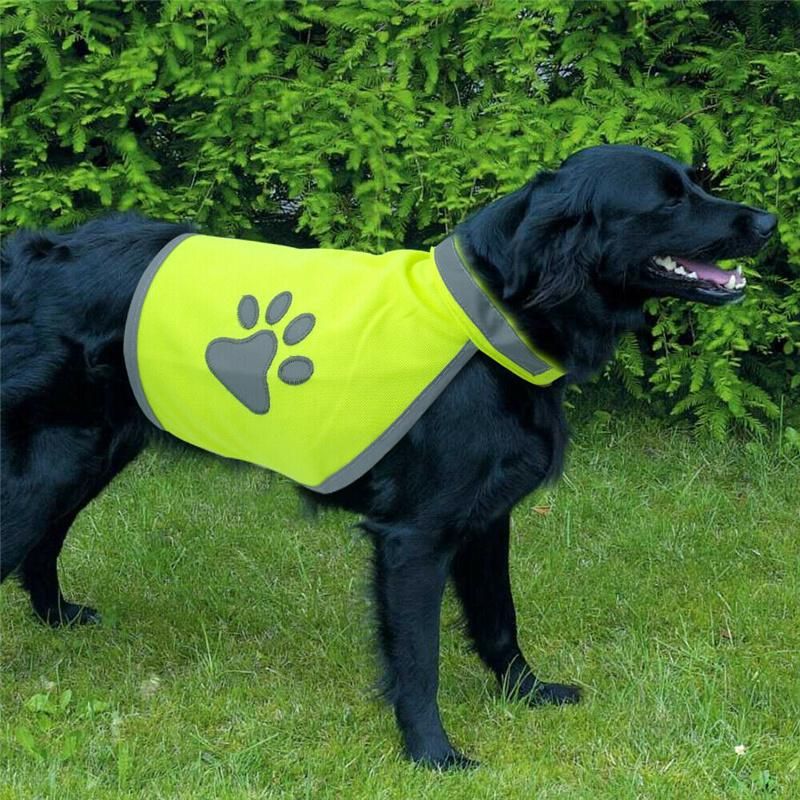 Reflective Dog Vest Clothes High Visibility Breathable Jacket Small Large Dogs Safety Vests Harness for Outdoor Hiking Walking