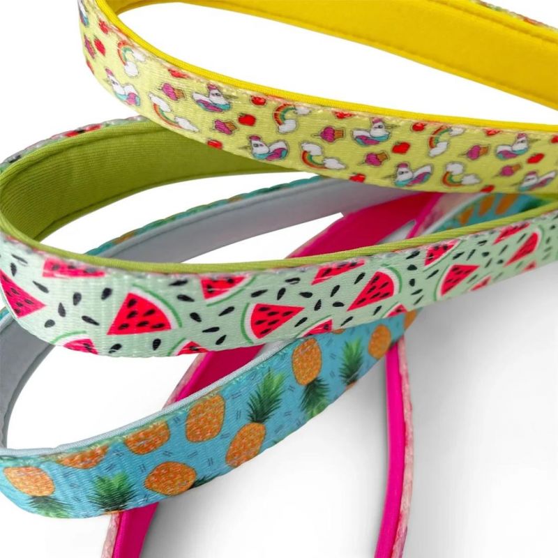 Adjustable Dog Harness - Watermelon Design Soft Padded Dog Harness