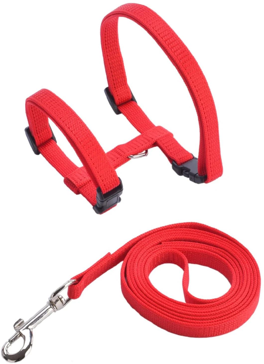 Factory Direct Sale Cat Dog Leash Pet Collars and Leash