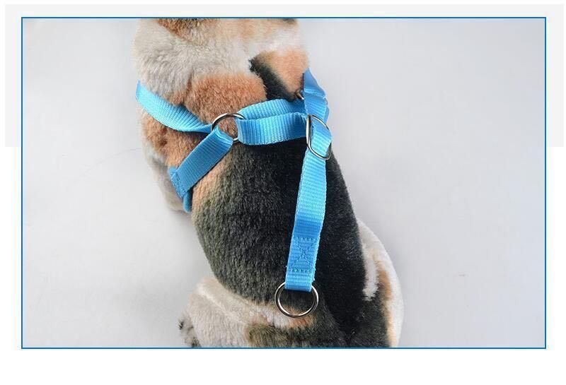 Mesh Small Dog Harness and Leash Set Puppy Cat Vest Harness