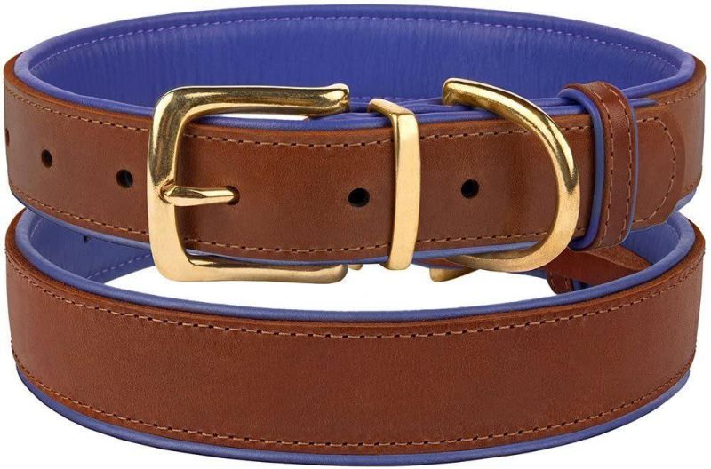 Top Quality Leather Dog Collar with Soft Padding