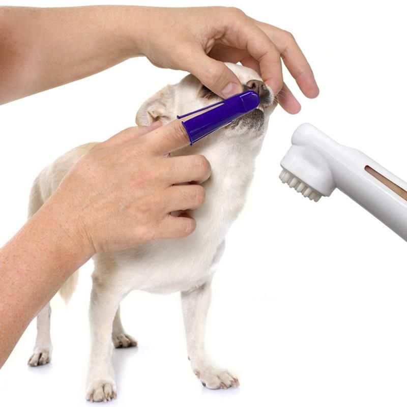 Puppy Beef Taste Toothbrush Toothpaste Dog Cat Finger Brush Set