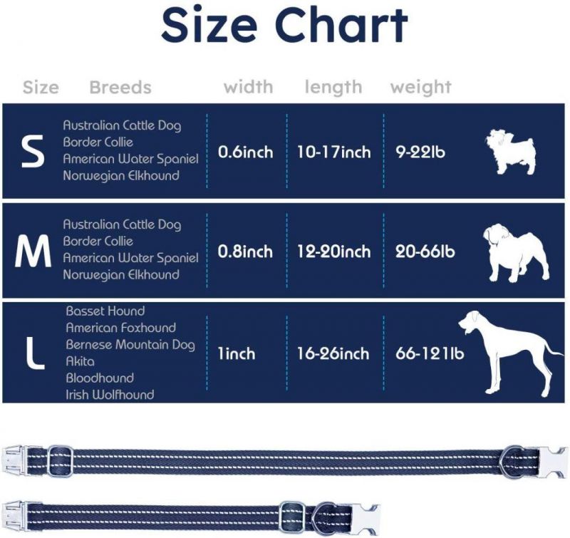Durable Metal Buckle Adjustable Nylon Dog Collar for Small Dogs
