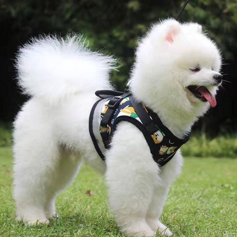 Adjustable Breathable Pet Harness for Medium Small Dog Lightweight Dog Harness
