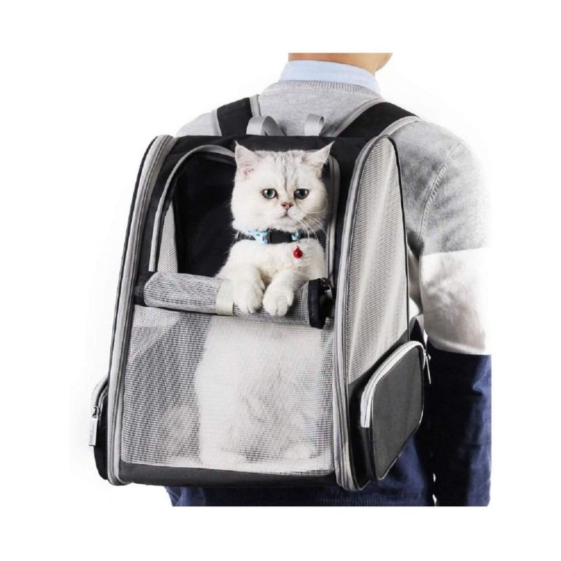 Pet Backpack Carrier Collapsible Buckle Support with Safety Straps for Small Catdog
