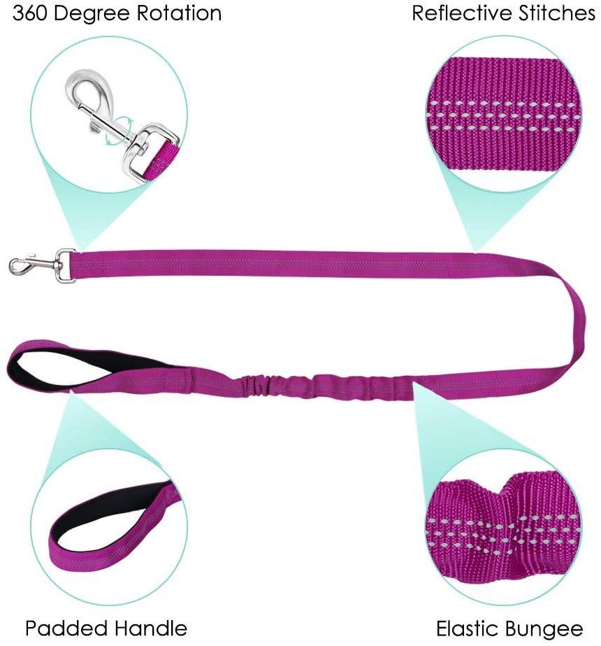 No Pull Small Dog Harness Heavy Duty Easy for Walk