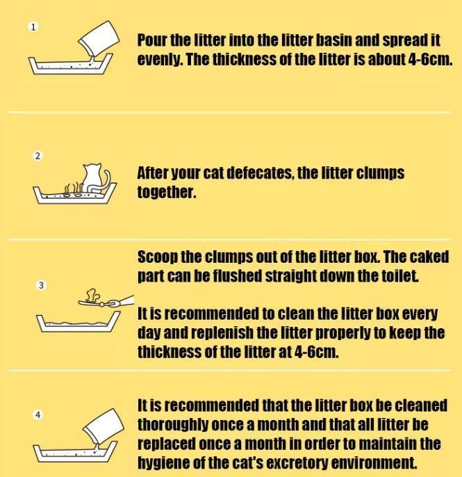 Plastic Packing Cat Litter for Cat Fast Clumping Cat Litter