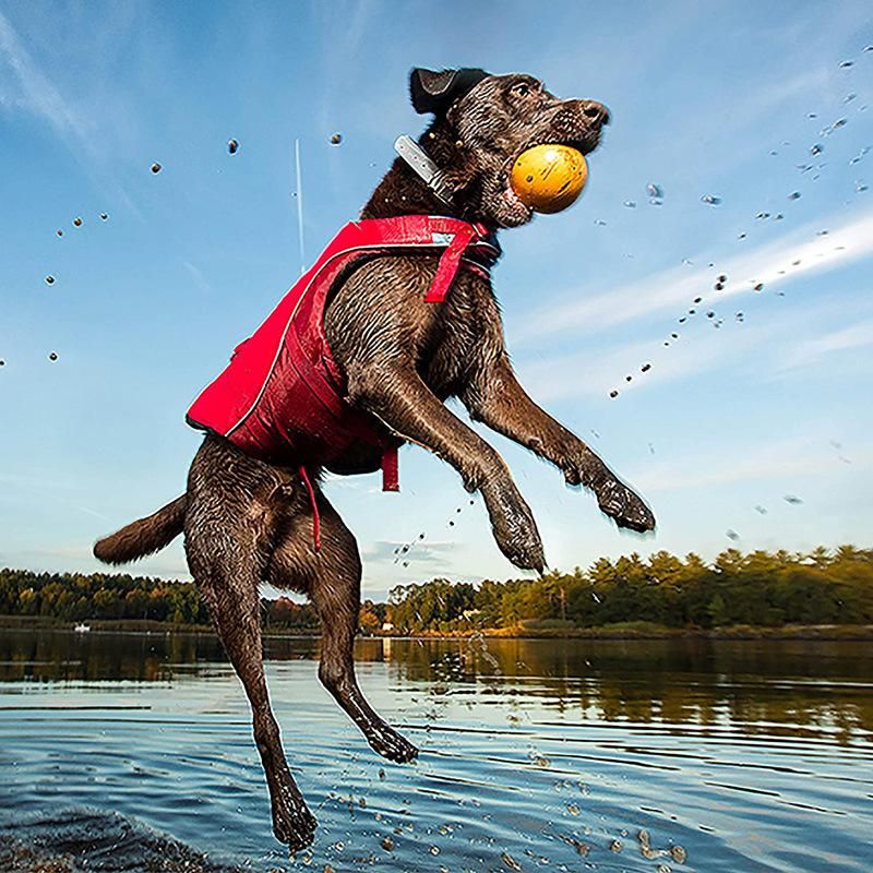 Life Jacket Safety Doggy Floats Reflective Adjustable with Two Control Handles for Small, Medium, Large Pets