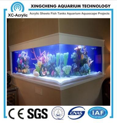 Large Acrylic Decorative Fish Tank