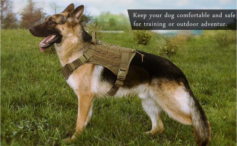 Working Dog Vest Harness Molle Tactical Dog Patrol K9 Large Dog Harness
