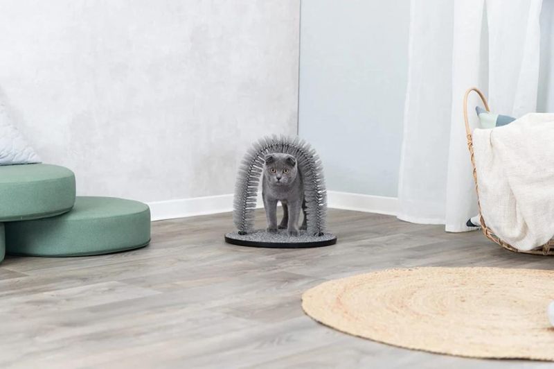 Cat Massager and Self Grooming Arch Bristle Ring Brush Carpet Base Scratcher Cat Self Groomer