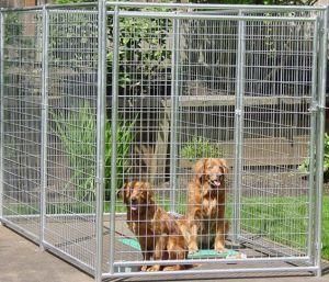 Outdoor Powdering Coated Weld Wire Mesh Dog Kennel/Dog House