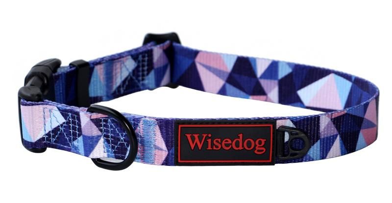 Custom Logo Printed Nylon Pet Dog Collar and Leash Set