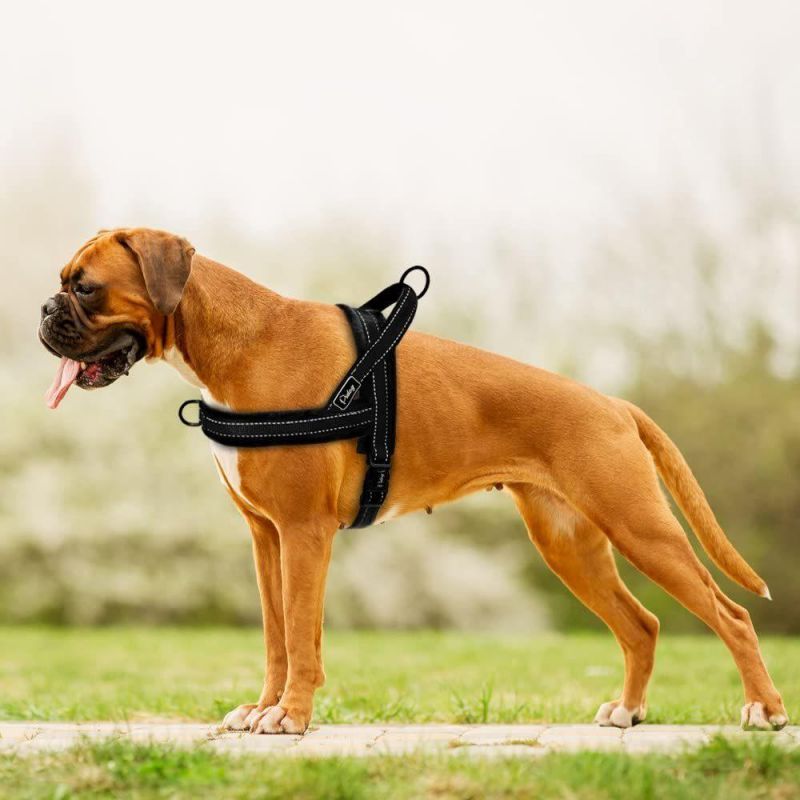 Escape Proof/Quick Fit Reflective Dog Strap Harness
