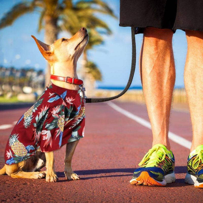 Pet Summer T-Shirts Hawaii Style Beach Seaside Floral Dog Shirt