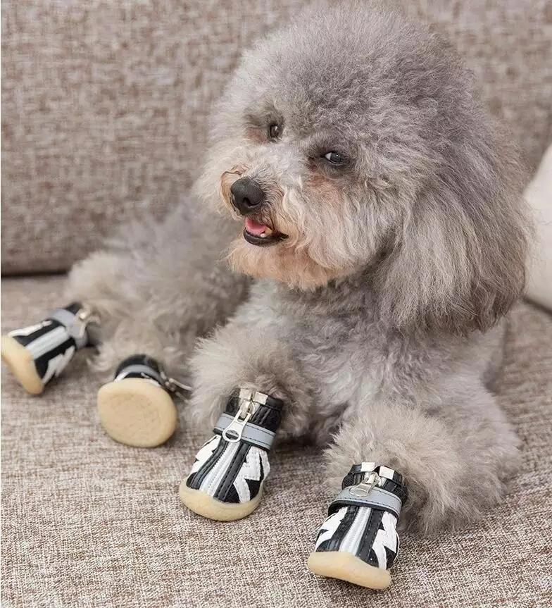 Soft Comfortable Dog Outdoor Shoes Paw Protectors with Two Adjustable Straps Anti-Slip Sole