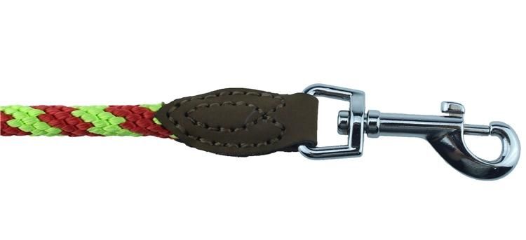 Running Walk Pets Leashes Train Large Small Dog Rope Nylon Cozy Colorful Nylon Dog Leash