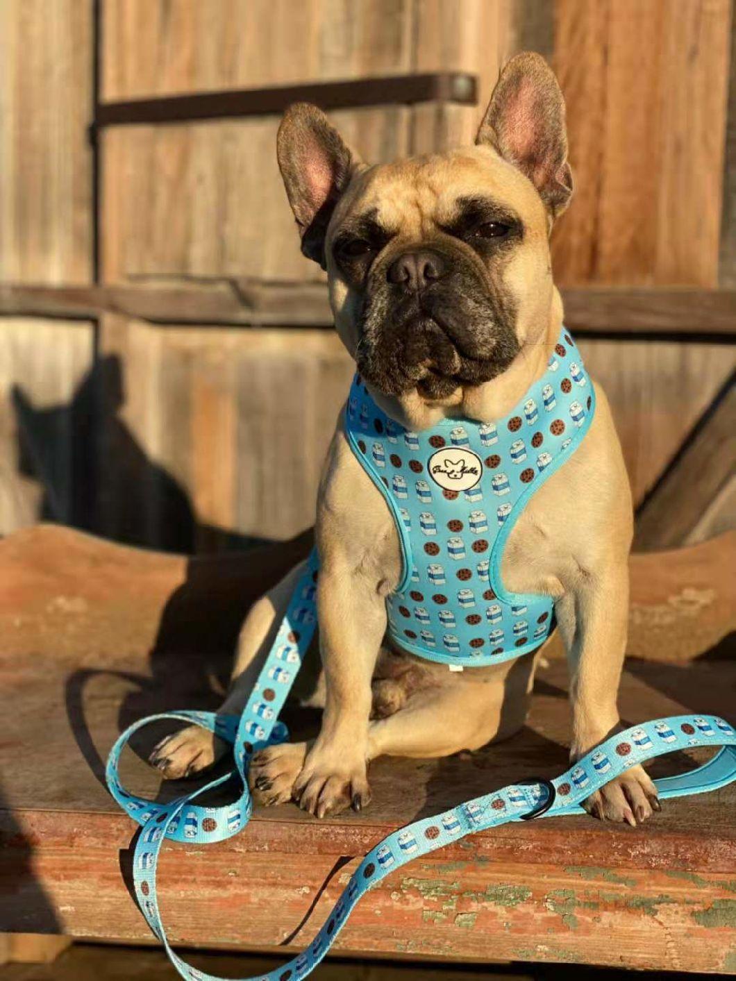 Full Sets Pet Products with Customized Pattern Dog Harness China