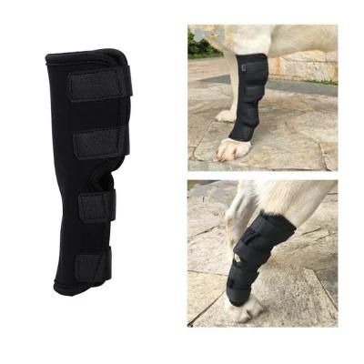 OEM SBR Neoprene Surgical Injury Bandage Wrap Dog Leg Brace Pet Knee Pads