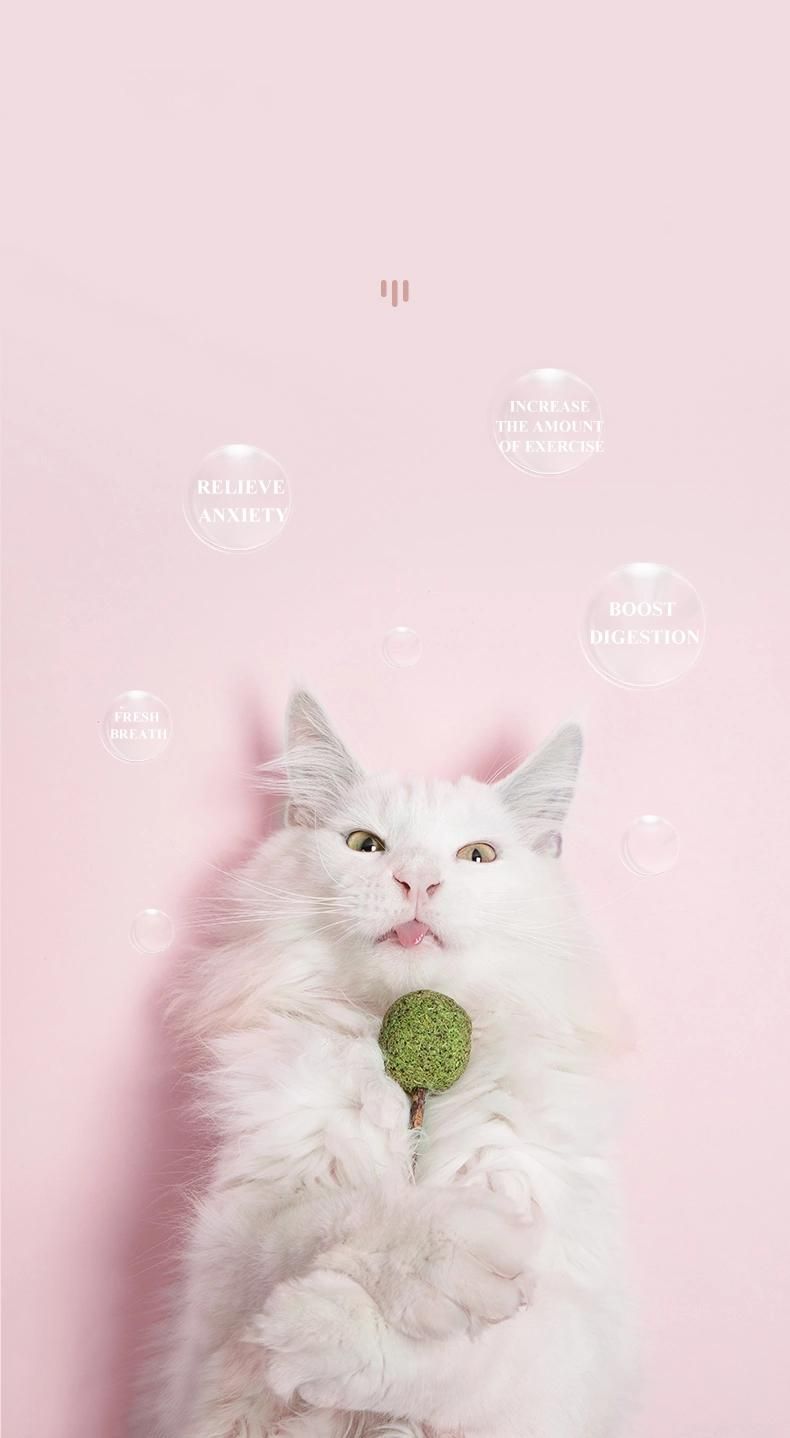 Yee Healthy Pet Product Peppermint Lollipop for Pet Sacks