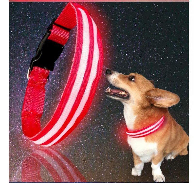 USB Rechargeable Flashing LED Nylon Safety Dog Collar